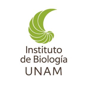 ChatGPT Image 28 nov 2025, 11_33_35